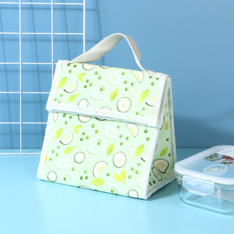 Fresh Cucumber Square Lunch Bag