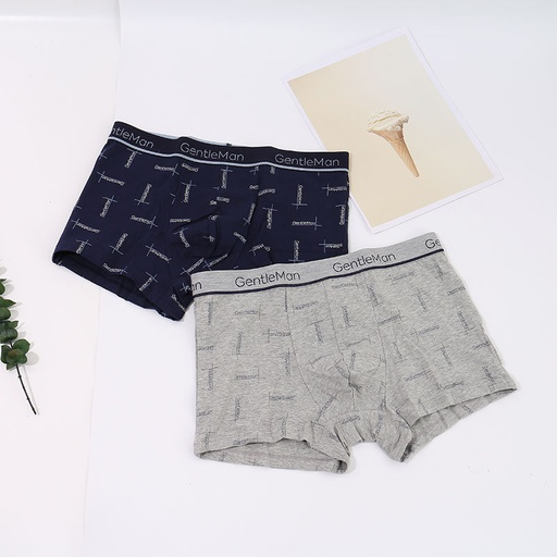 Refreshing Printed Boxer Briefs for Men (XXXL)