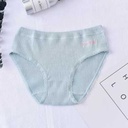 Ribbed Panties for Women(L)