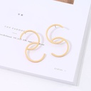 Golden Metal Earrings