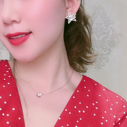 Stylish Exquisite Star Earrings with S925 Silver Needle