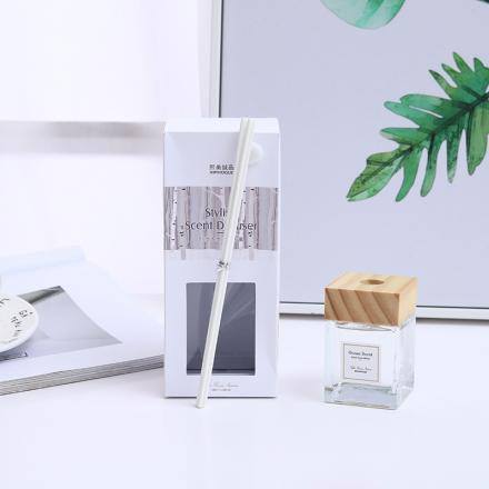 Stylish Scent Diffuser(Ocean Scent)