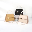 Stylish Vogue Pearl Crossbody Bag Handbag